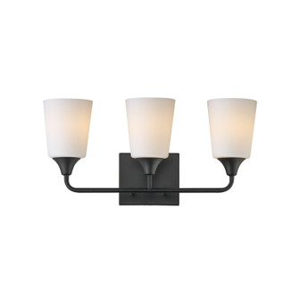 Hudson Three Light Bath Vanity in Black (16|12883SWBK)