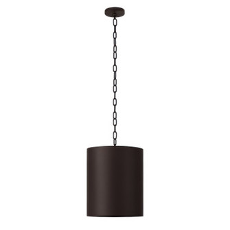 Cannery Two Light Pendant in Dark Bronze / French Gold (137|323P02DBFG)
