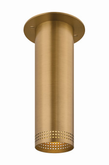 Berg One Light Flush Mount in Patina Brass (67|C1507-PBR)