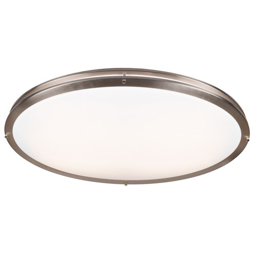Solero Oval LED Flush Mount in Brushed Steel (18|20468LEDD-BS/ACR)
