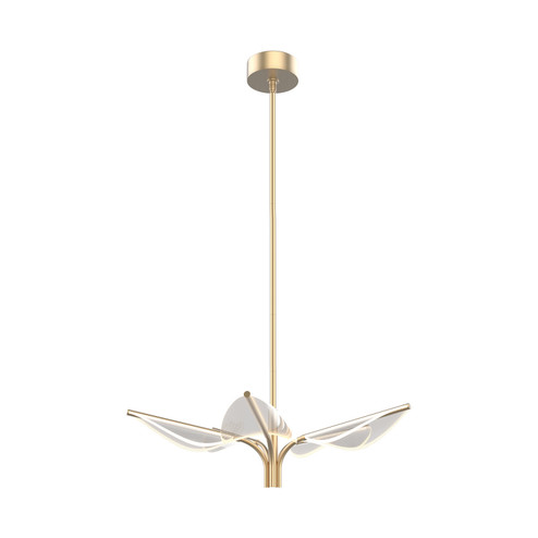 Flora LED Pendant in Natural Brass (452|PD321105NB)