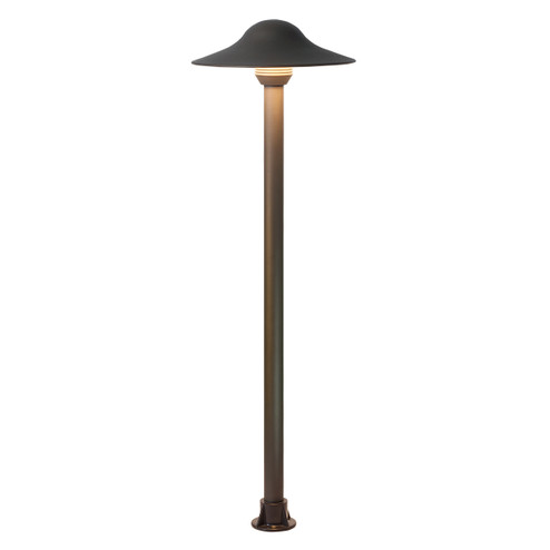 Path Light LED Path in Antique Bronze (40|31936-019)