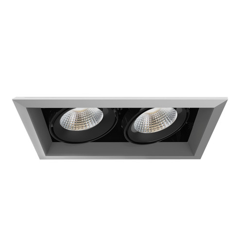 TE SERIES MULT,26W,TRM,2LT,40K,PT/BLK in Platinum (40|TE132LED-40-2-0N)