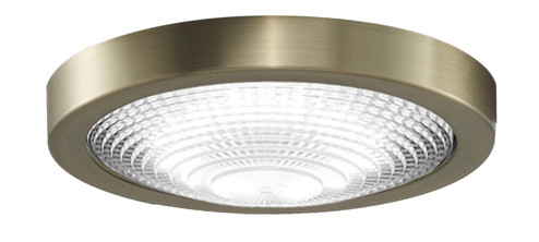 Spitfire One Light Fan Light Kit in Brushed Satin Brass (26|LK6721BBS)