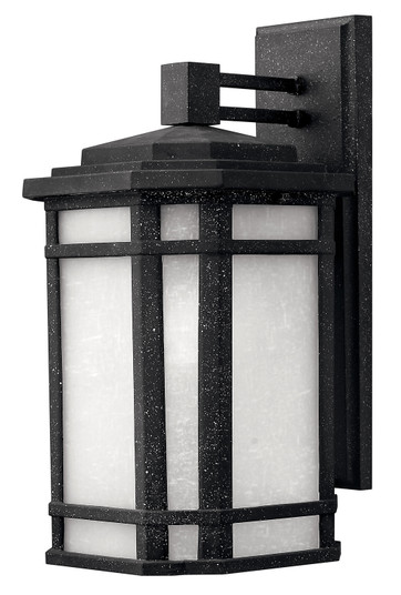 Cherry Creek LED Wall Mount in Vintage Black (13|1274VK)