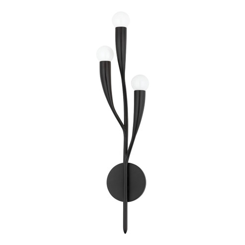 Labra Three Light Wall Sconce in Aged Iron (70|9603-AI)