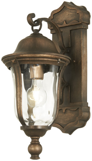 Havenwood One Light Outdoor Wall Mount in Tauira Bronze And Alder Silver (7|73241-748)