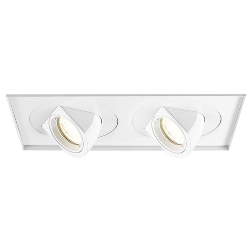 Tesla LED Multiple Two Light Invisible Trim with Light Engine in White (34|MT-5LD225TL-S27-WT)