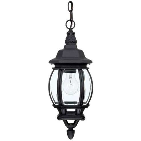 French Country One Light Outdoor Hanging Lantern in Black (65|9868BK)