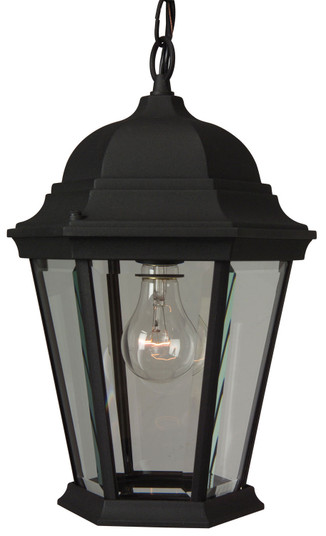Straight Glass Cast One Light Pendant in Textured Black (46|Z251-TB)