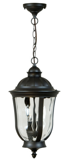 Frances Two Light Pendant in Oiled Bronze (Outdoor) (46|Z6011-OBO)