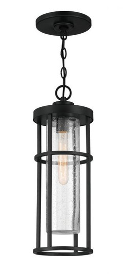 Encompass One Light Outdoor Pendant in Midnight (46|ZA4211-MN)