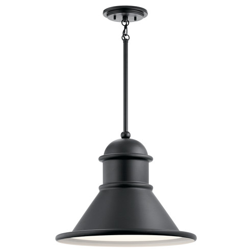 Northland One Light Outdoor Pendant in Black (12|49777BK)