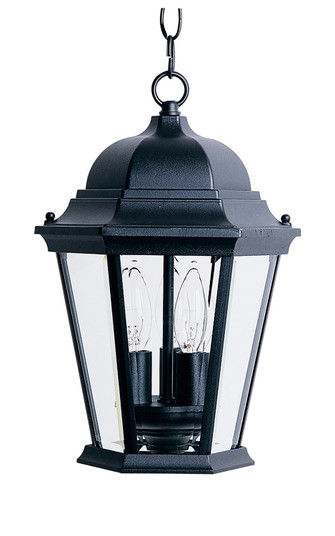 Westlake Three Light Outdoor Hanging Lantern in Black (16|1009BK)