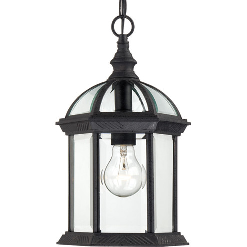 Boxwood One Light Hanging Lantern in Textured Black (72|60-4979)
