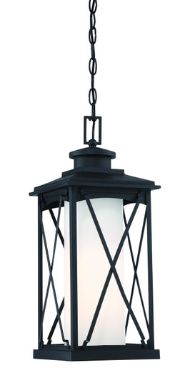 Lansdale One Light Chain Hung Outdoor in Matte Black (7|72684-66)