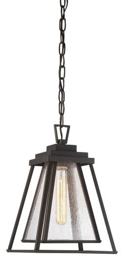 Sleepy Hollow One Light Chain Hung Lantern in Dakota Bronze (7|73114-226)