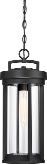 Huron One Light Hanging Lantern in Aged Bronze (72|60-6504)
