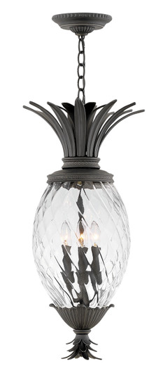 Plantation LED Hanging Lantern in Museum Black (13|2122MB)