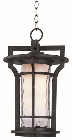 Oakville LED E26 LED Outdoor Hanging Lantern in Black Oxide (16|65788WGBO)