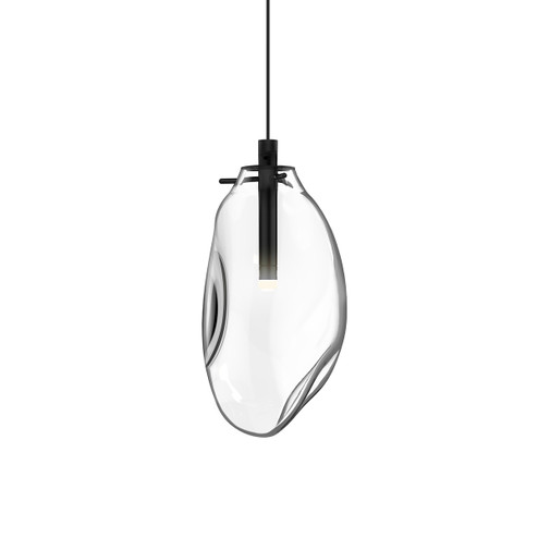 Liquid LED Pendant in Satin Black (69|2970.25C)