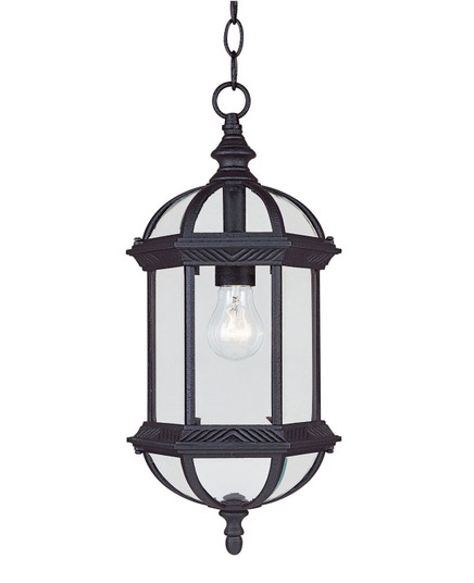 Kensington One Light Hanging Lantern in Textured Black (51|5-0631-BK)