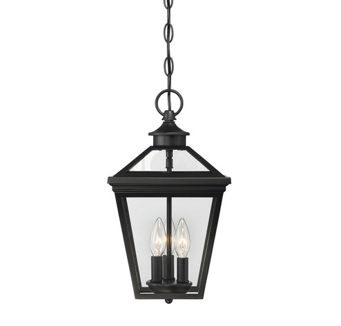 Ellijay Three Light Hanging Lantern in Black (51|5-146-BK)
