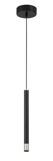 Wand LED Mini Pendant in Brushed Nickel and Coal Highlights (42|P5409-691-L)