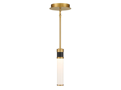Abel LED Mini Pendant in Matte Black with Warm Brass Accents (51|7-1643-1-143)
