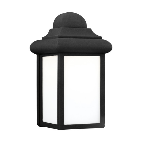 Mullberry Hill One Light Outdoor Wall Lantern in Black (1|8988EN3-12)