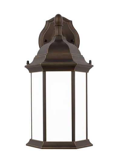 Sevier One Light Outdoor Wall Lantern in Antique Bronze (1|8938751EN3-71)