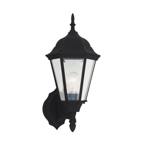 Bakersville One Light Outdoor Wall Lantern in Black (1|88941-12)