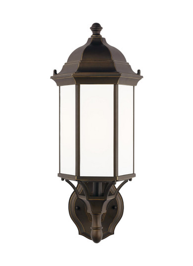 Sevier One Light Outdoor Wall Lantern in Antique Bronze (1|8838751-71)