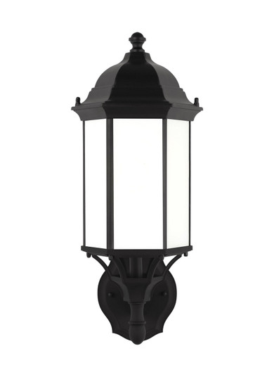 Sevier One Light Outdoor Wall Lantern in Black (1|8838751-12)