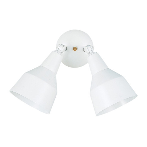 Flood Light Two Light Flood Light in White (1|8607-15)