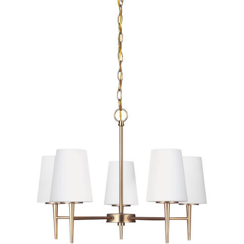 Driscoll Five Light Chandelier in Satin Brass (1|3140405-848)