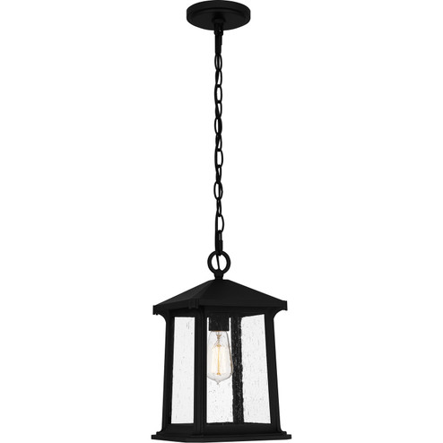 Satterfield One Light Outdoor Hanging Lantern in Matte Black (10|SAT1909MBK)