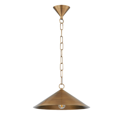Midvale One Light Pendant in Patina Brass (67|F1915-PBR)