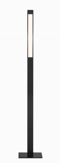 Task Portables LED Floor Lamp in Anodized Brushed Coal (42|P086-66F-L)