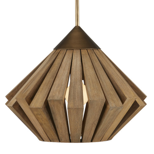 Plunge One Light Pendant in Brass/Toffee (142|9000-0995)