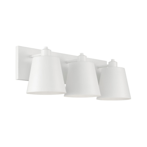 Alden Three Light Vanity in Matte White (65|151331WE)