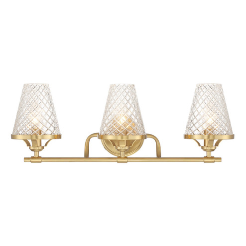 Candler Three Light Bathroom Vanity in Warm Brass (51|8-3596-3-322)