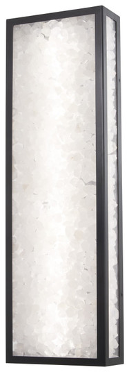 Salt Creek LED Outdoor Wall Sconce in Coal Black (7|8173-66A-L)