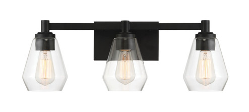 Clarity Three Light Bath Vanity in Coal (7|5703-66A)