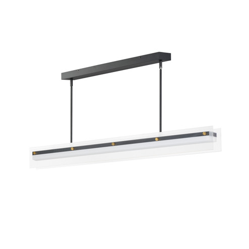 Spectre LED Linear Pendant in Black / Natural Aged Brass (16|21194CRBKNAB)