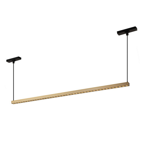 Kyan LED Track Linear Pendant in Brushed Gold (347|TRL29433-BG-4K)