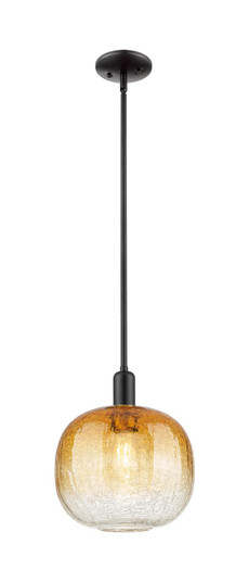 Arcadia One Light Mini Pendant in Matte Black (405|716-1S-BK-G481-10AM)