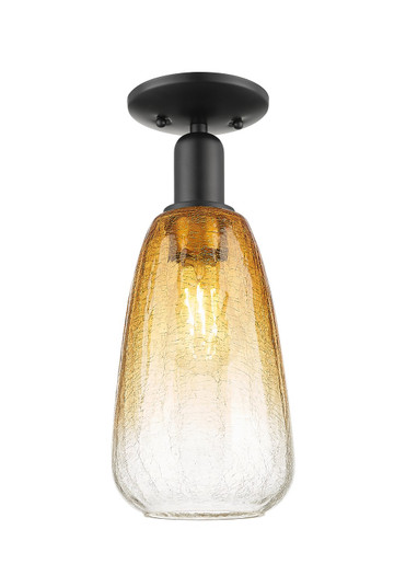 Arcadia One Light Semi-Flush Mount in Matte Black (405|716-1C-BK-G480-6AM)