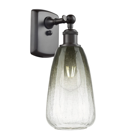 Ballston One Light Wall Sconce in Oil Rubbed Bronze (405|516-1W-OB-G480-6SL)