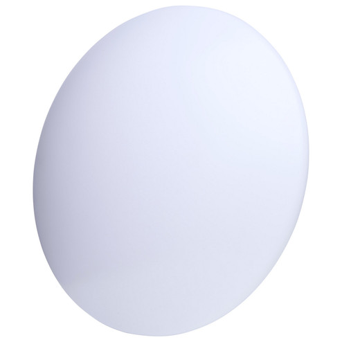 Replacement Lens in White (72|25-278)